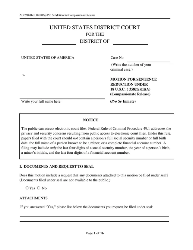 Page 1 of form AO 250