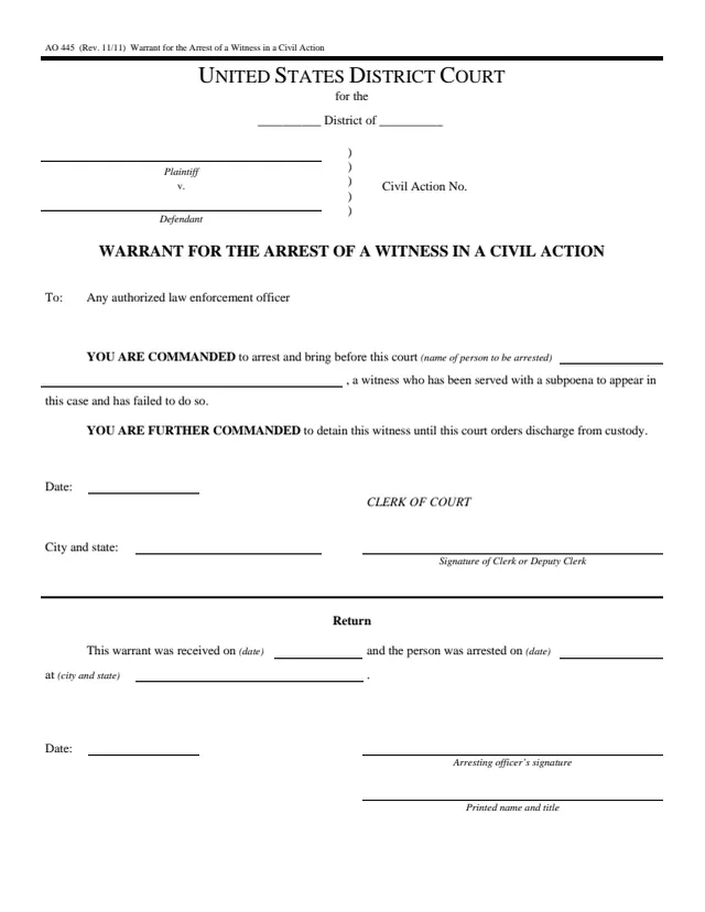 Page 1 of form AO 445