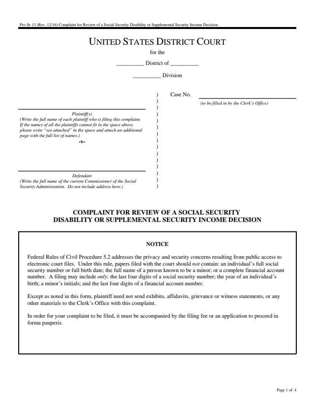 Page 1 of form Pro Se 13