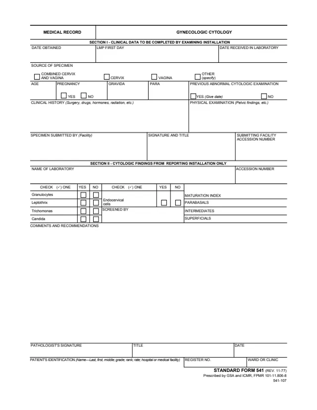 Page 1 of form SF541
