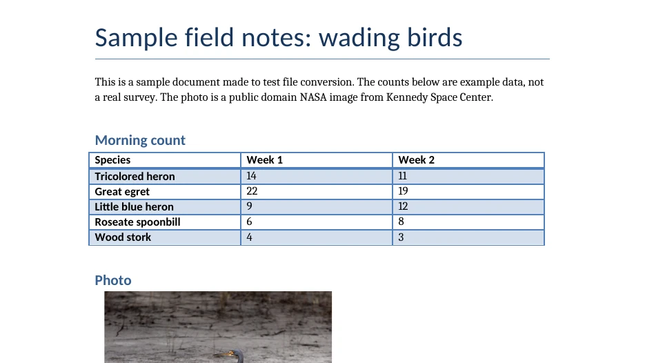 The same part in the PDF file made by indox, enlarged