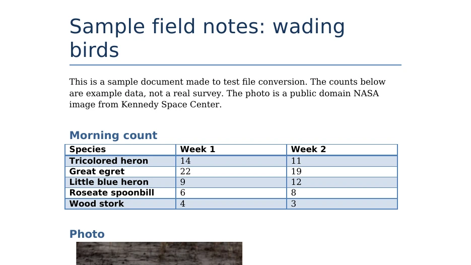 The top of page 1 in the original DOCX file, enlarged