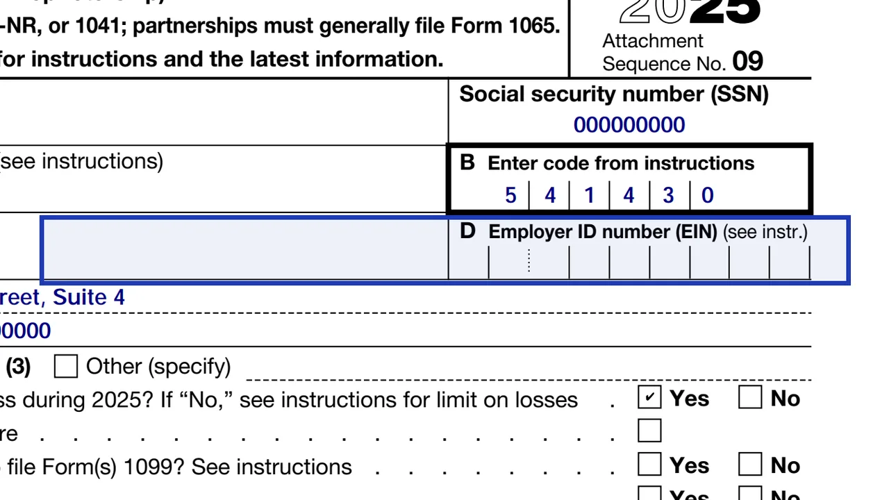 Schedule C line D for the employer ID number, left blank unless the instructions require one