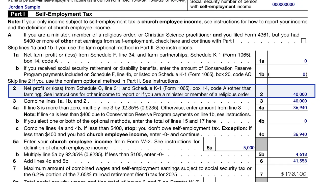 Schedule SE line 2 for the net profit from Schedule C line 31, sample values