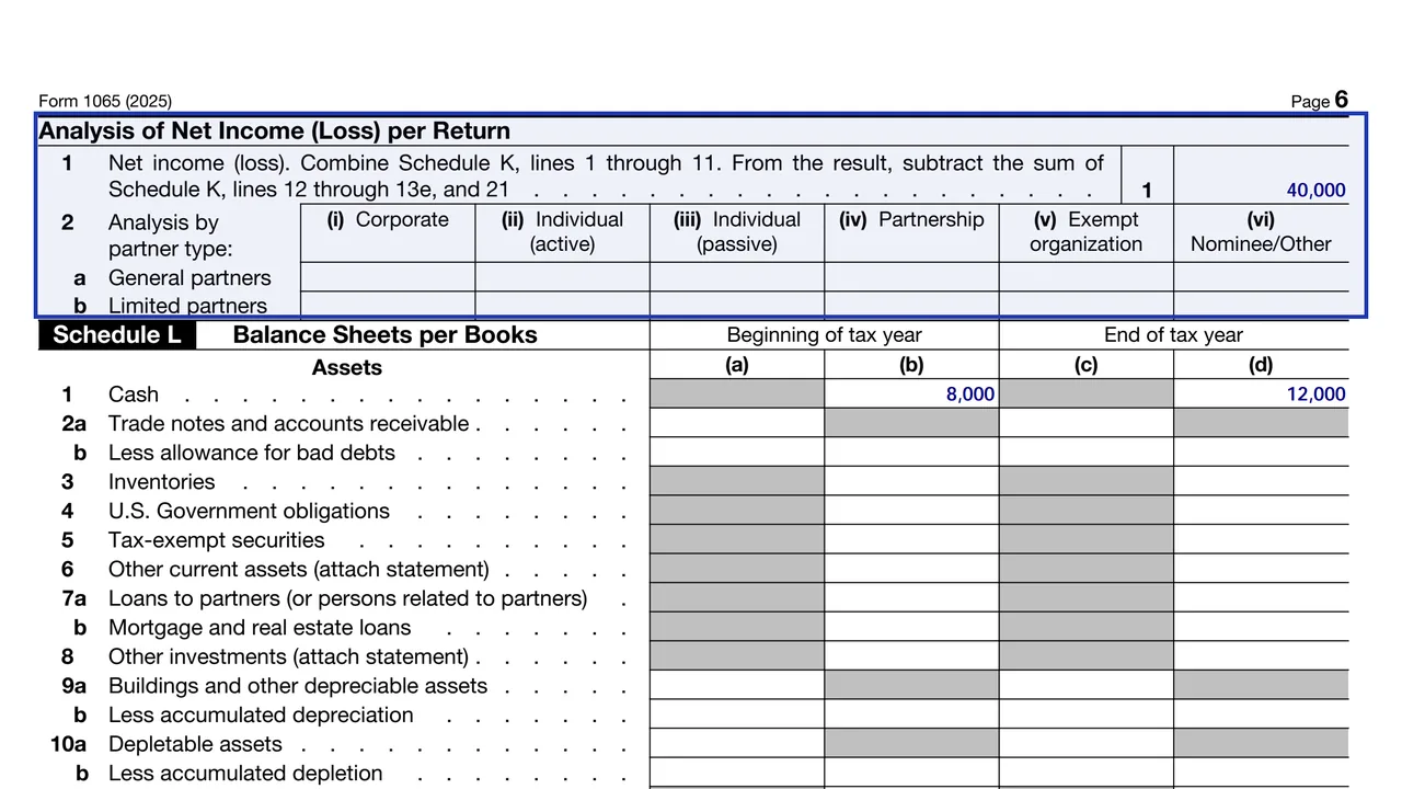 The analysis of net income by partner type on page 6 of Form 1065, which ties the partners' Schedules K-1 to the return