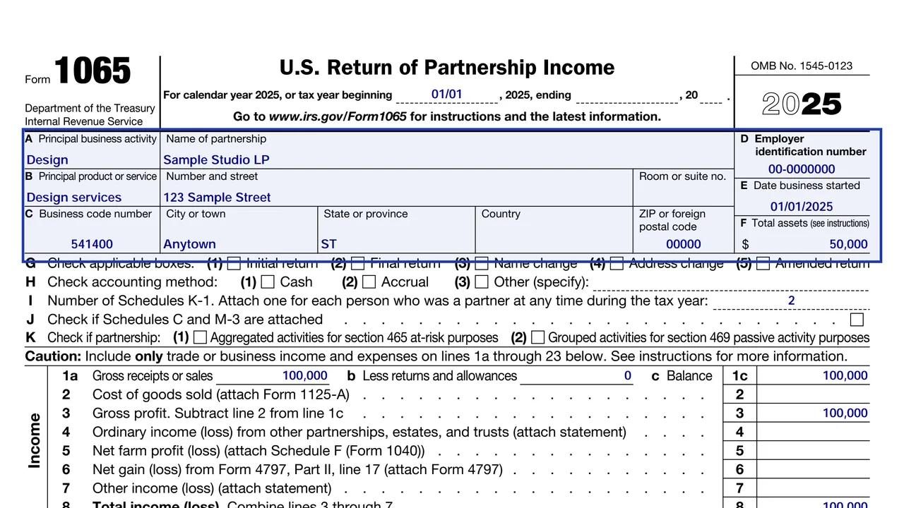 The header of Form 1065 with the partnership's name, address, EIN, start date and total assets in item F