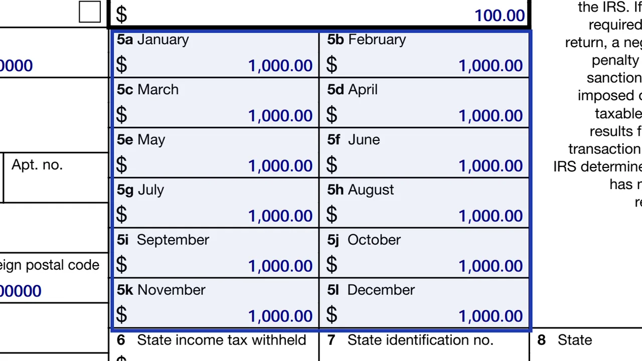Boxes 5a to 5l of Form 1099-K for the gross amount of each month