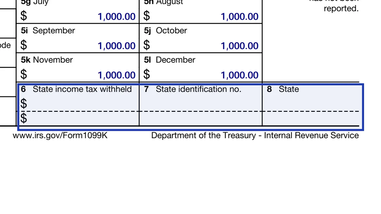 Boxes 6 to 8 of Form 1099-K for optional state information