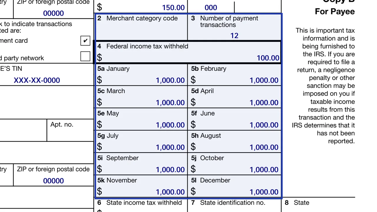 Box 3 and boxes 5a to 5l of Form 1099-K with sample transaction counts and monthly amounts