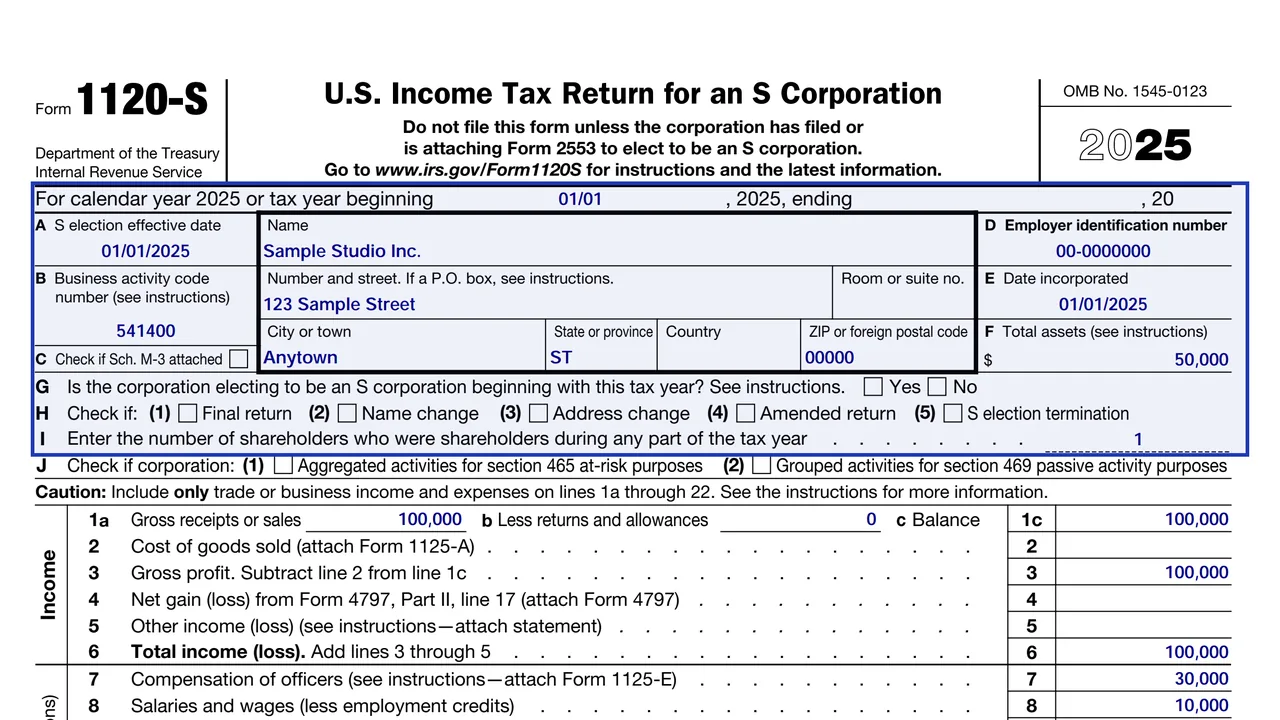 The header of Form 1120-S with the corporation's EIN, election date and total assets in item F