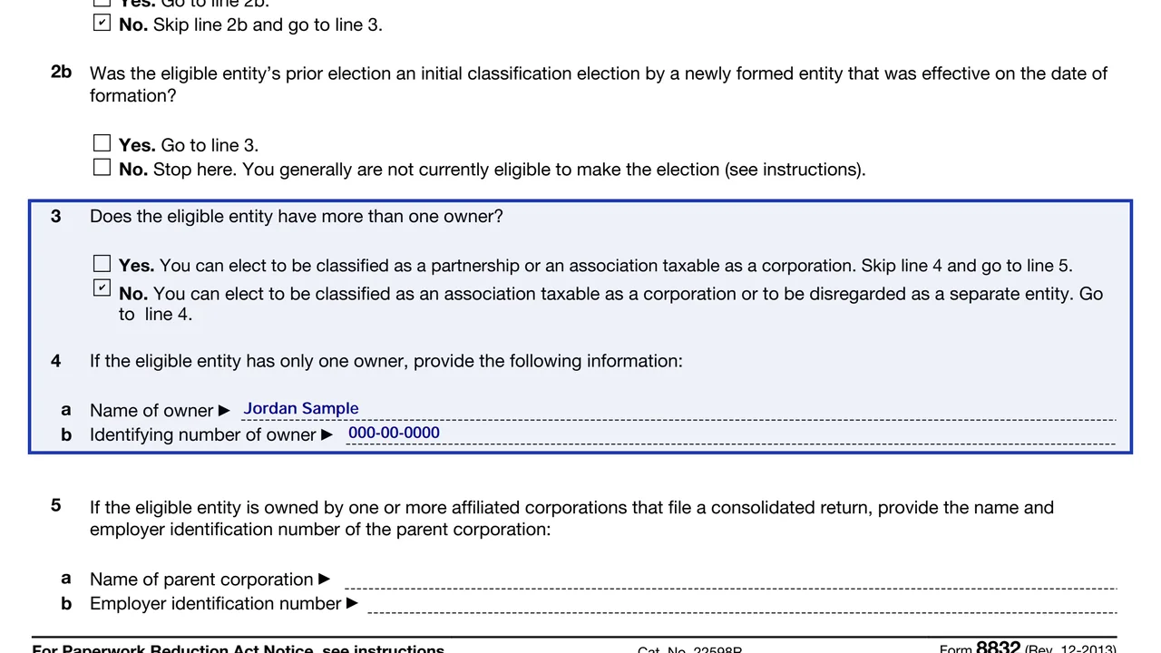 Lines 3 and 4 of Form 8832 with the owner count answered and a single owner's name and number, sample values
