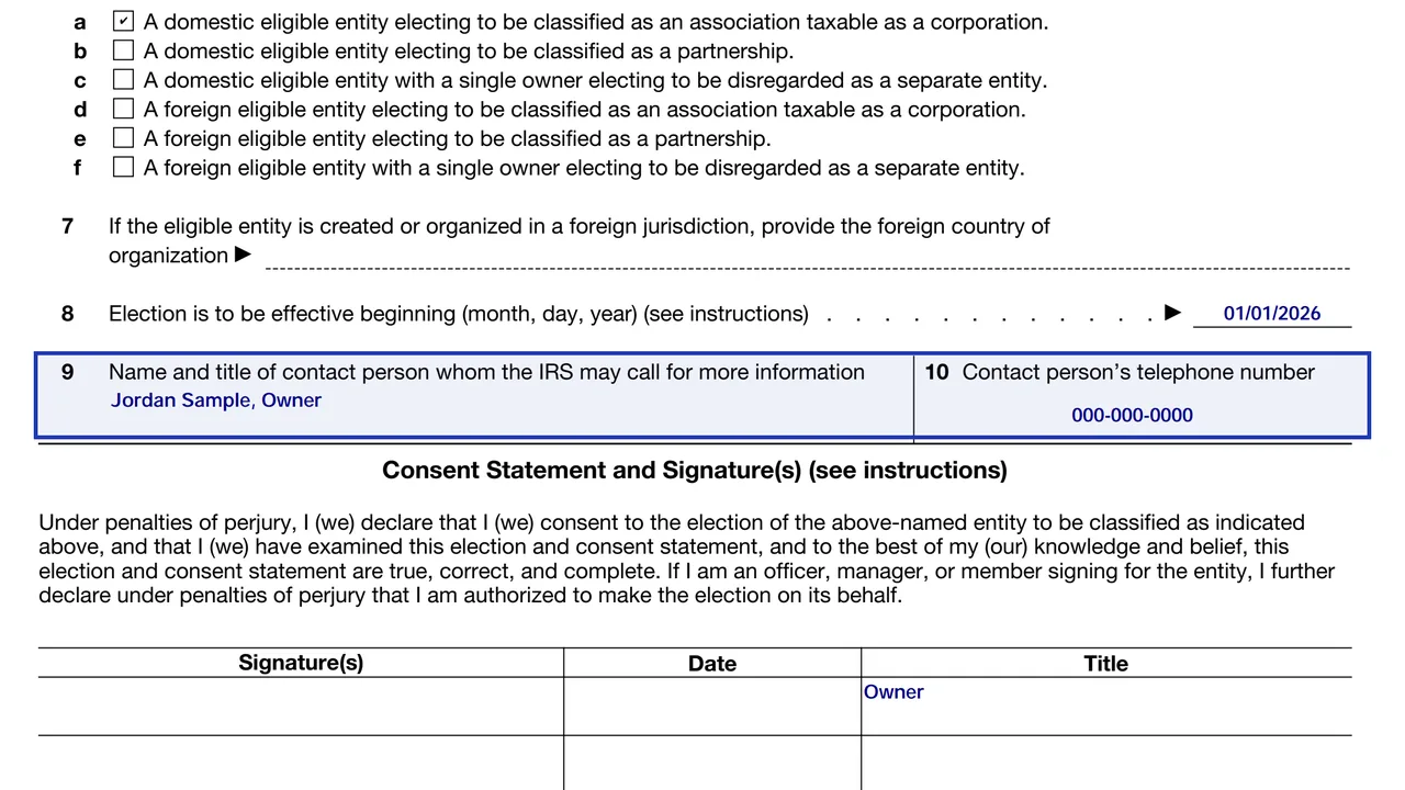 Lines 9 and 10 of Form 8832 with a contact person's name, title and phone number, sample values