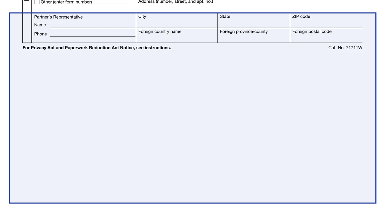 Partner's representative on page 1 of Form 8985-V: Tax Payment by a Pass-Through Partner, as printed by IRS