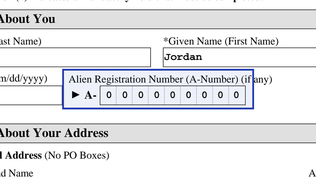 Form AR-11 A-Number field with the letter A prefix, using a sample value