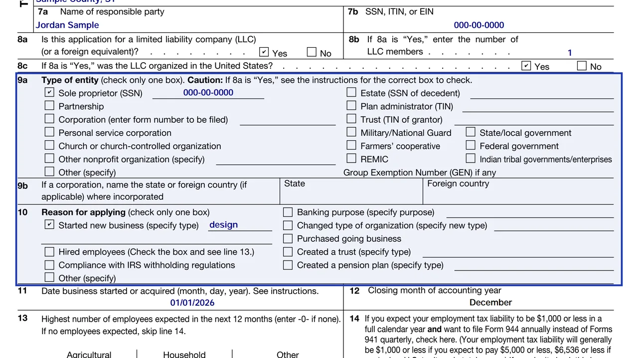 Line 9a and line 10 of Form SS-4 with one entity type box and one reason for applying checked